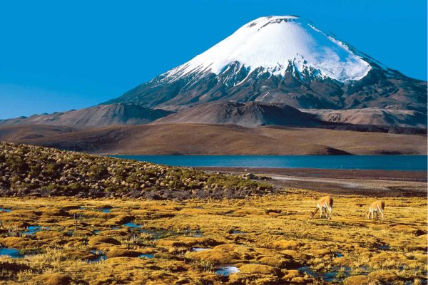 chile-1-600